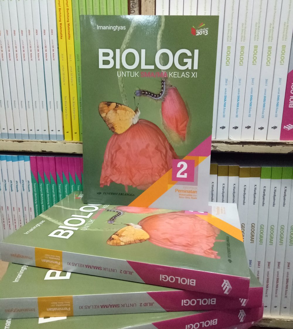 Download Buku Biologi Kelas 11 Penerbit Erlangga Pdf Irnaningtyas Lasopacareers